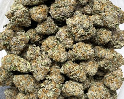 SUGAR CANE MINTZ (EXOTIC) - Image 4