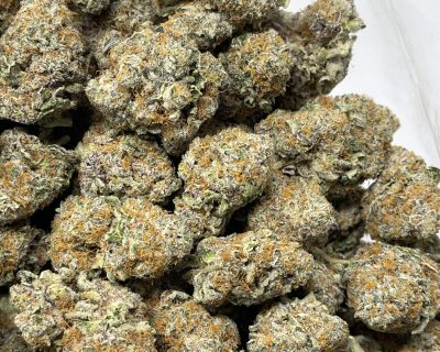 SUGAR CANE MINTZ (EXOTIC) - Image 3