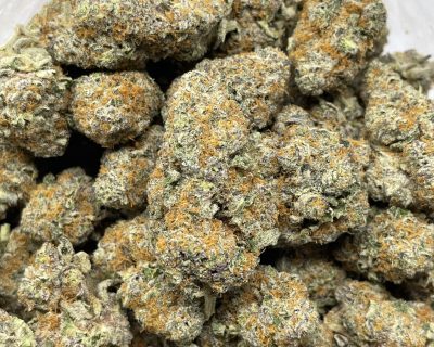 SUGAR CANE MINTZ (EXOTIC) - Image 1