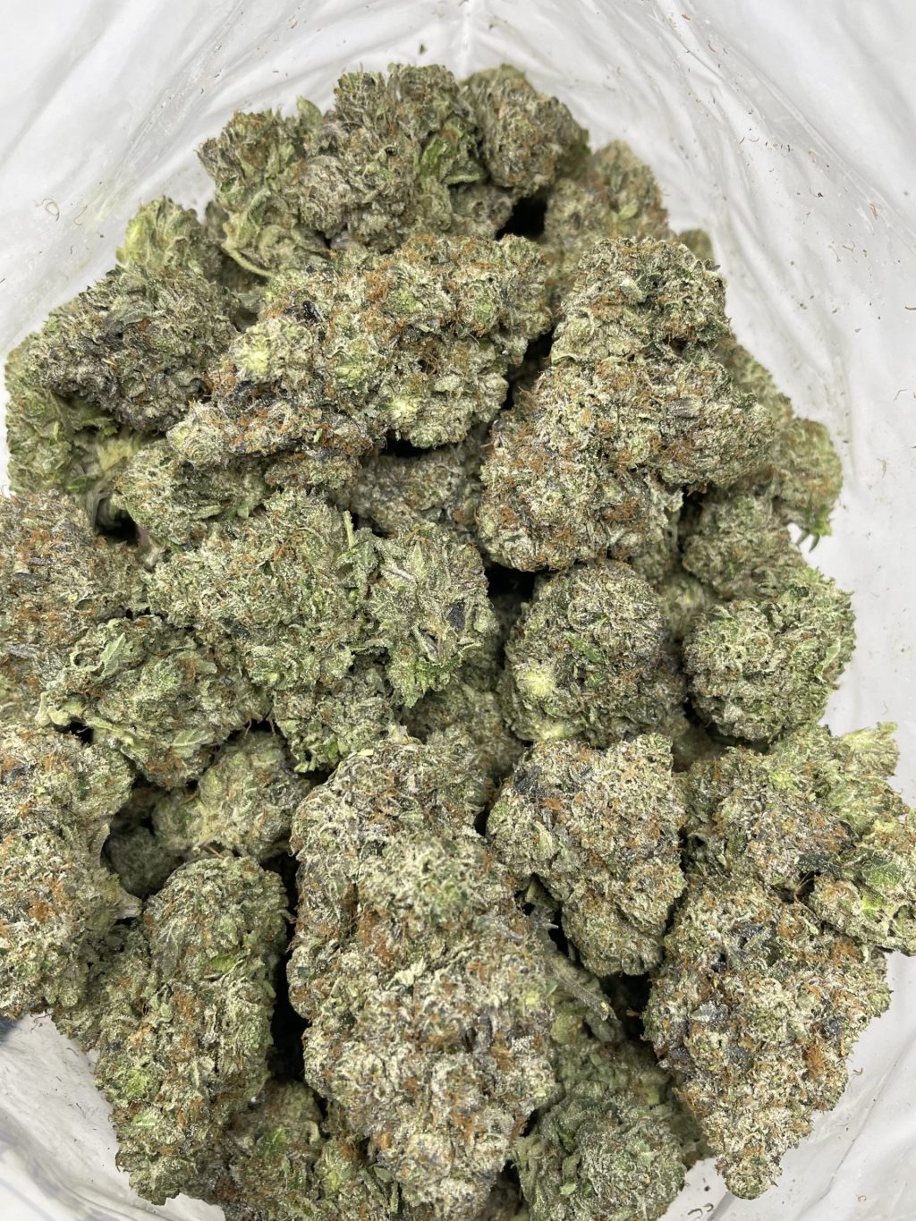Wizard Skittlez