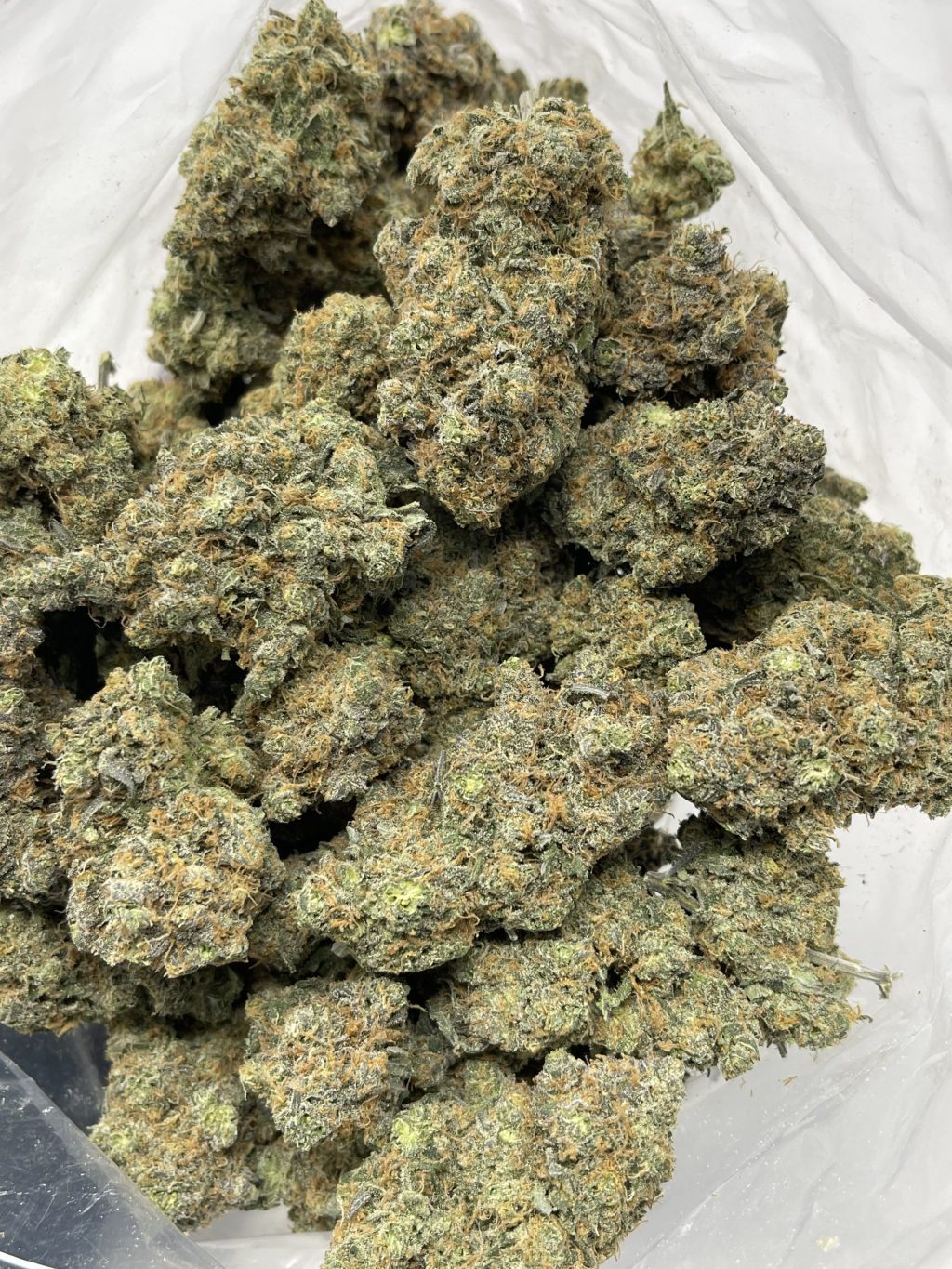 Wizard Skittlez
