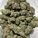 MK ULTRA STRAIN