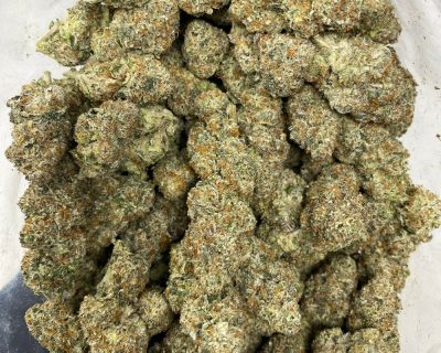WIZARD x ICE CREAM CAKE LSO (EXOTIC DEAL) - Image 2