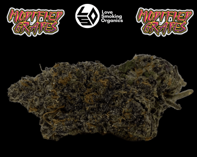 modified grapes lso