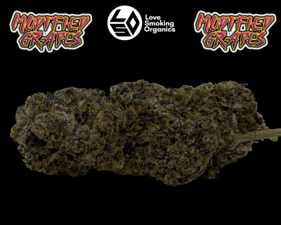 modified grapes lso