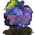 modified grapes lso
