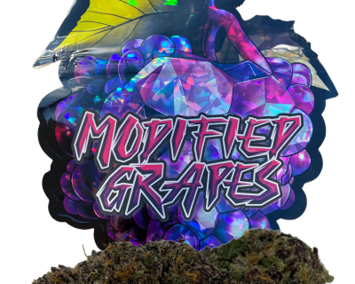 modified grapes lso