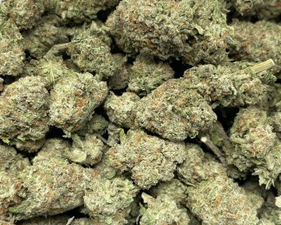 NUKEN (EXOTIC) - Image 3