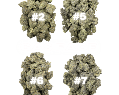 GAS FACE PHENOTYPES #2-7 (KINGSMEN BLOWOUT SALE) - Image 1