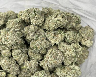 NORTHERN LIGHTS LSO (EXOTIC) - Image 3