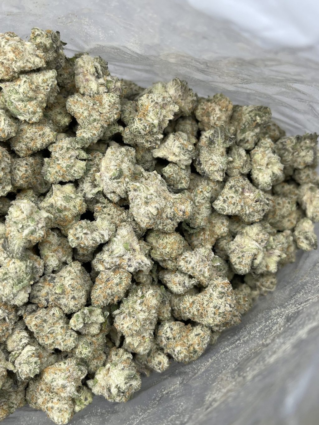 Purple Punch