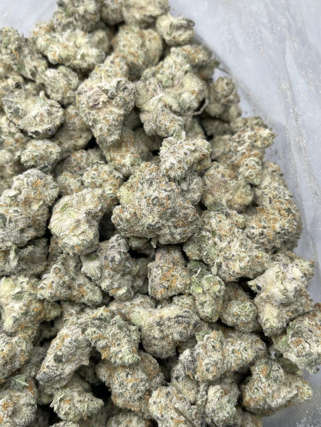 Purple Punch Purple Punch