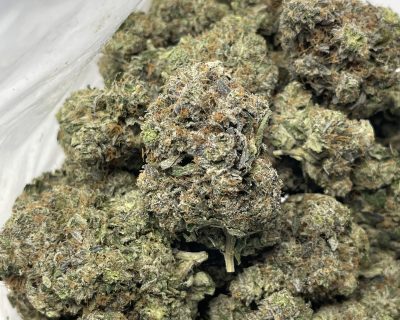 PINK CASHMERE (BULK) (MEGA GAS) - Image 3