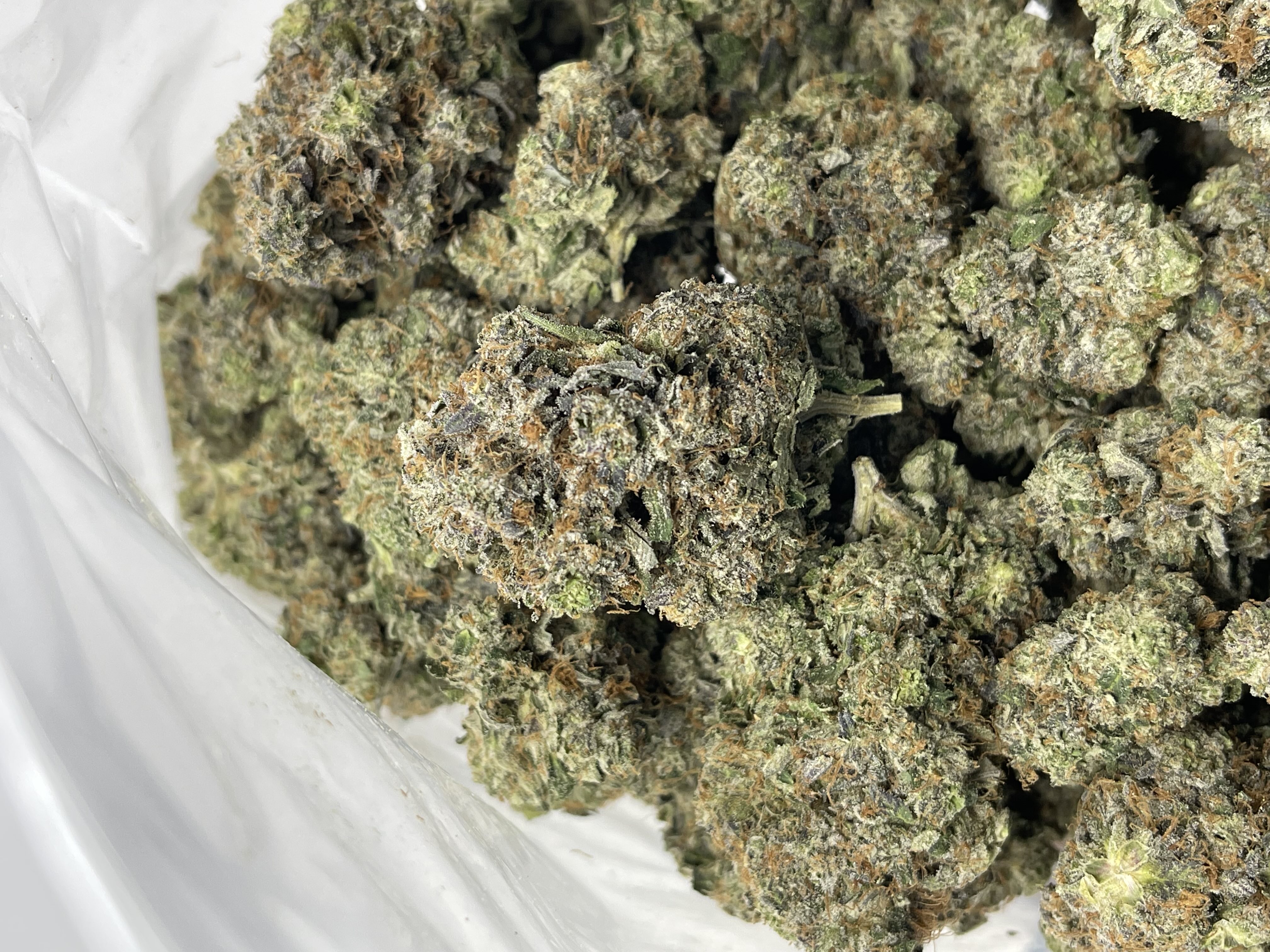 PINK CASHMERE (BULK) (MEGA GAS) WeedPosters.io