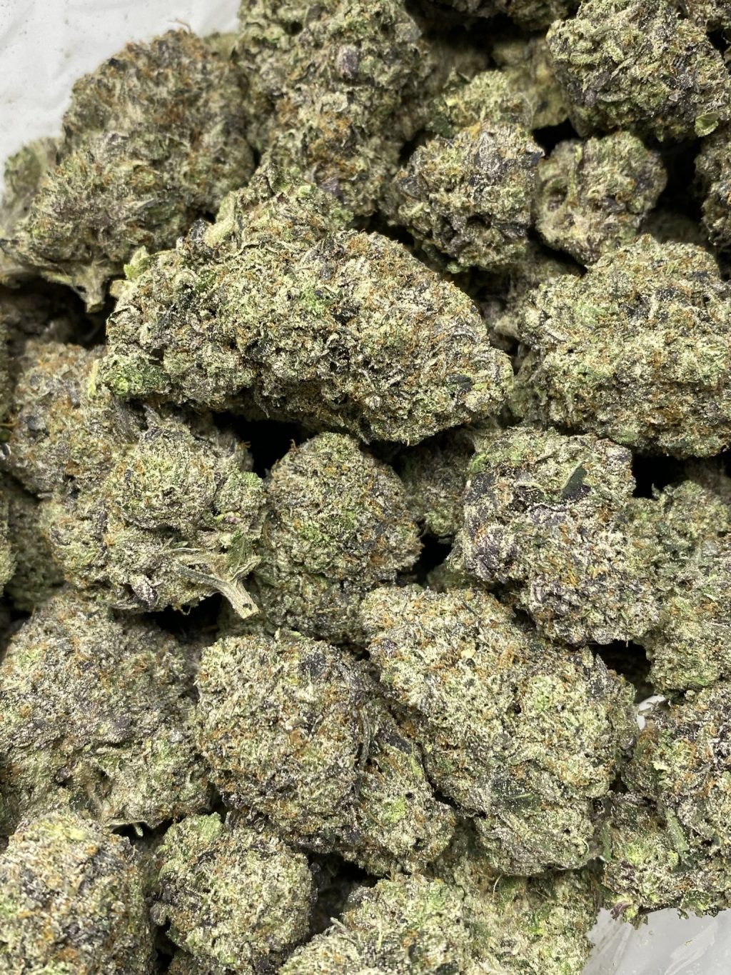 Jokerz Gas
