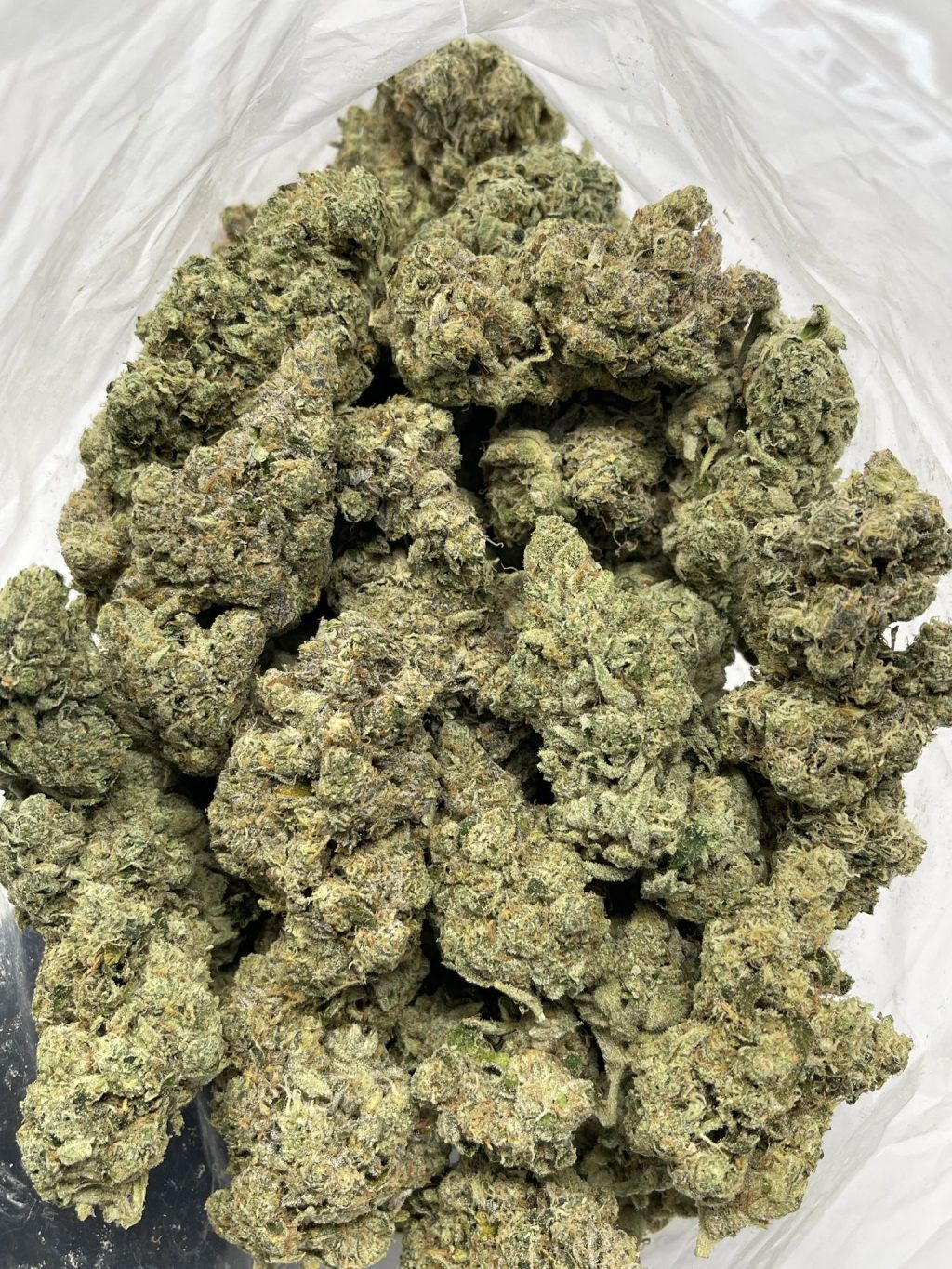 Black Cherry Cactus strain