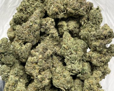 Black Cherry Cactus strain