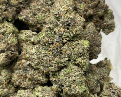 PINK ZOMBIE (MEGA GAS) - Image 2