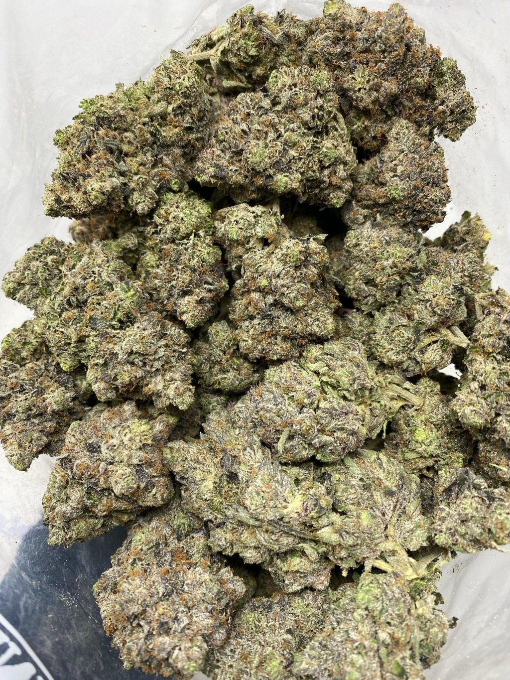 PINK ZOMBIE