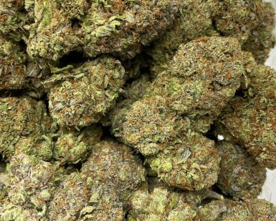 PINK DRACULA (MEGA GAS) - Image 1