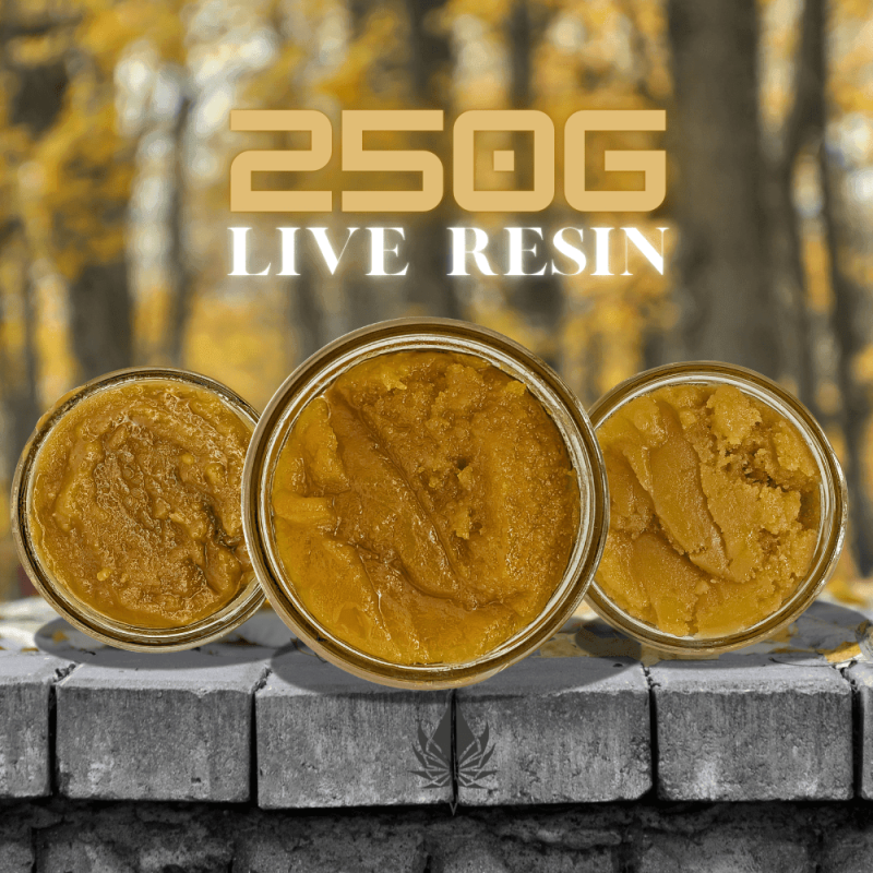 250G PREMIUM LIVE RESIN