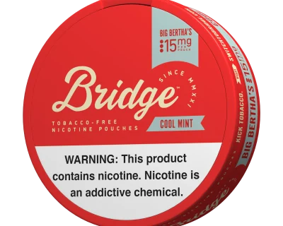 BRIDGE COOLMINT 15MG