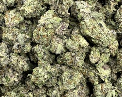 PINK DIESEL smalls (MEGA GAS) - Image 3