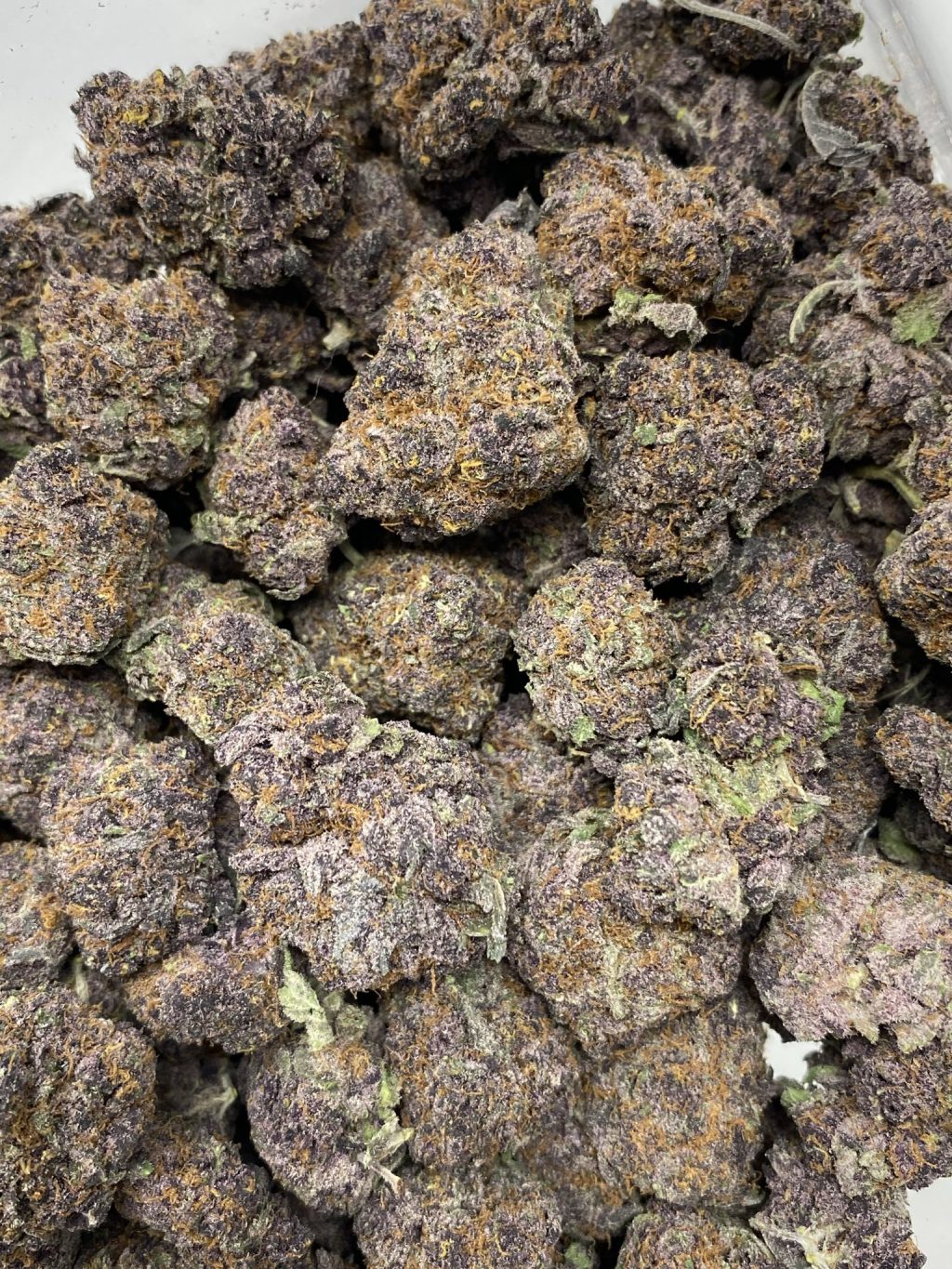Tropicana Cookies Tropicana Cookies strain, purple buds