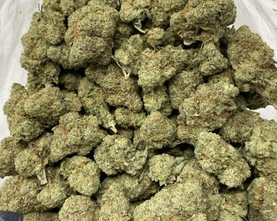 ROMULAN (EXOTIC) - Image 3