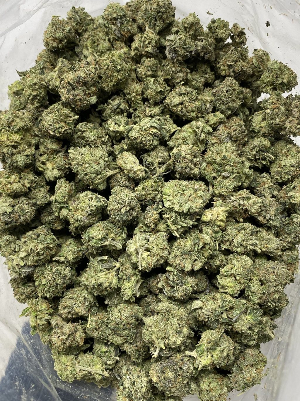 Pink kush