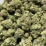 Pink kush