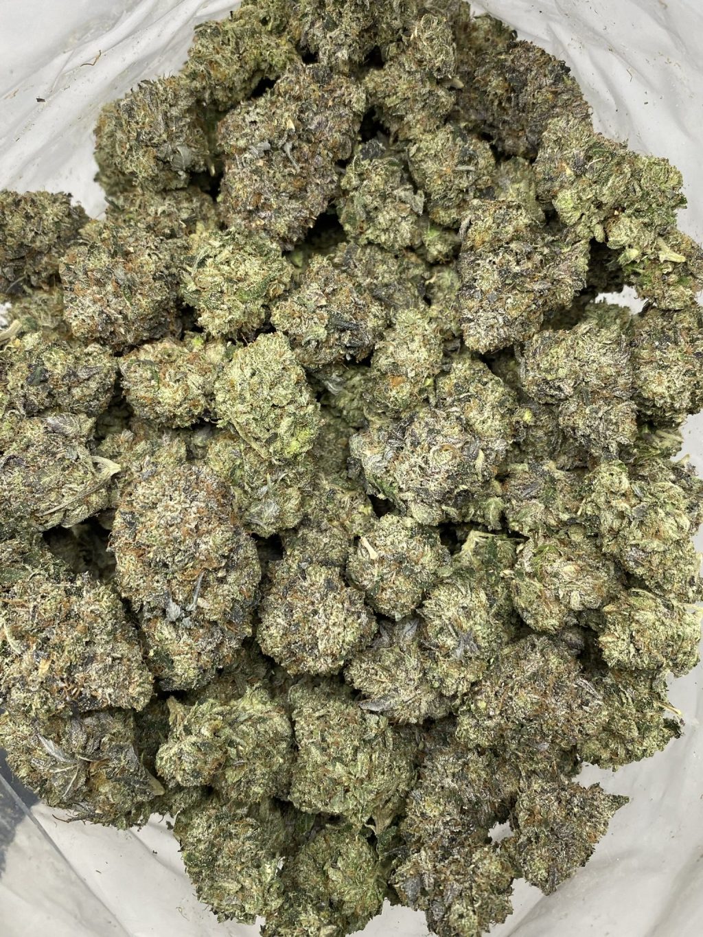 PINK MORPHINE