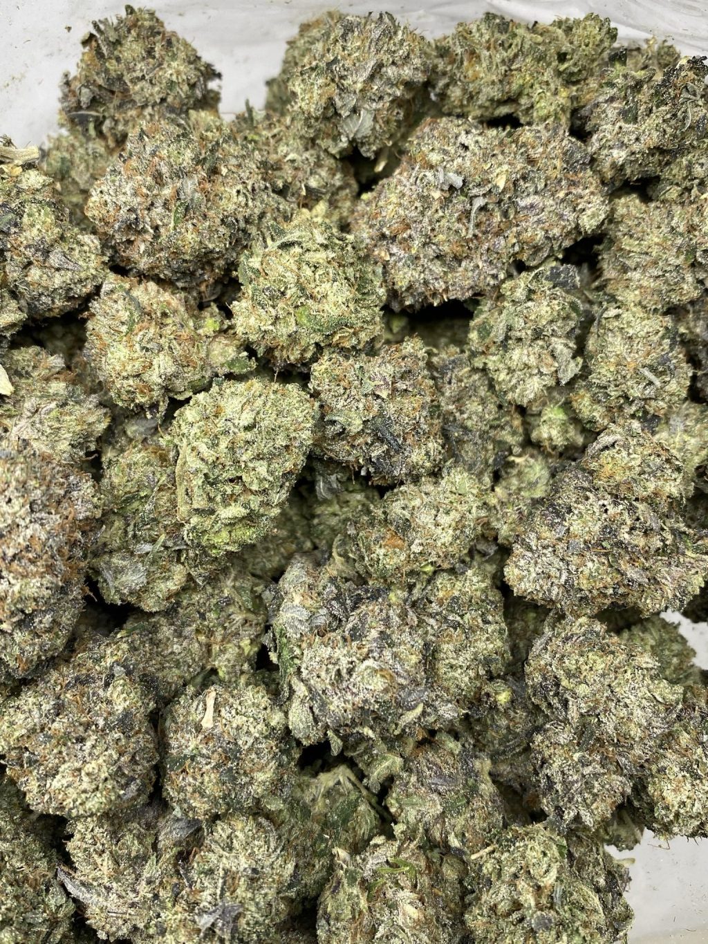 PINK MORPHINE
