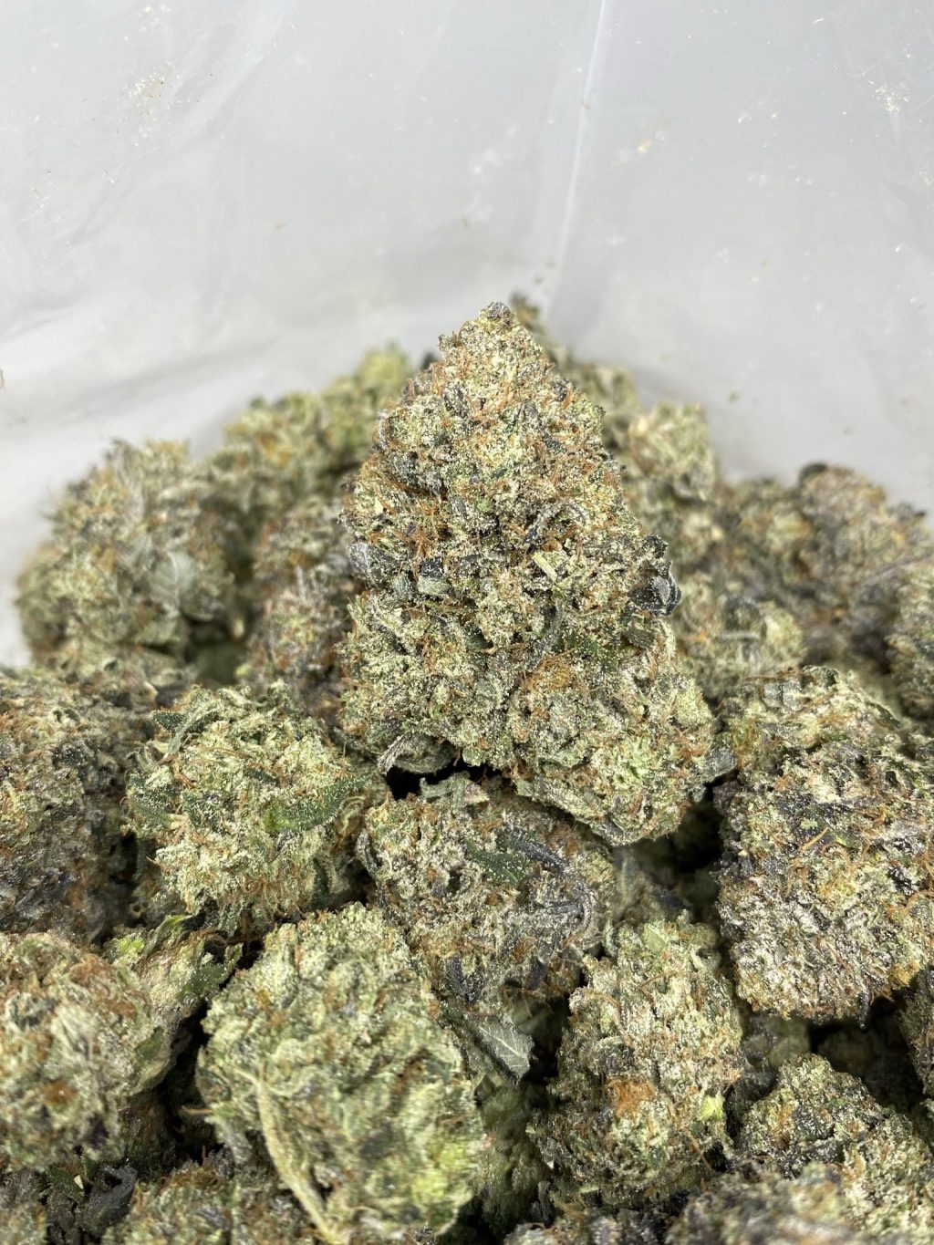 PINK MORPHINE