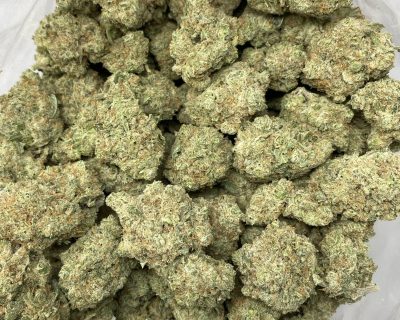 golden goat strain