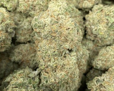 golden goat strain