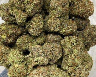 PINK DRACULA (MEGA GAS) - Image 2