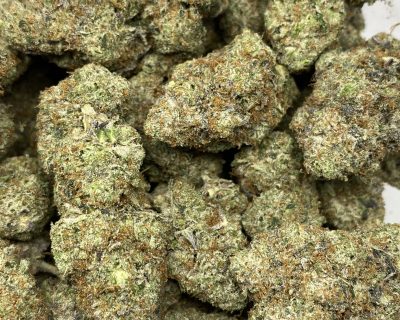 Jokerz Gas | 14g Premium Cannabis