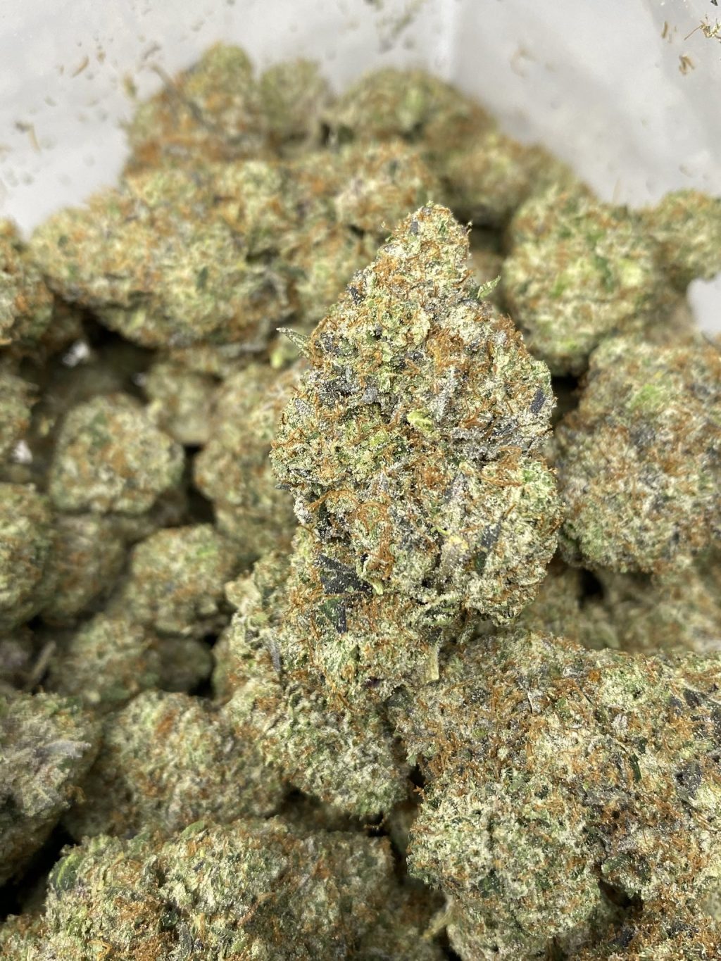 Jokerz Gas | 14g Premium Cannabis