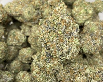 Jokerz Gas | 14g Premium Cannabis