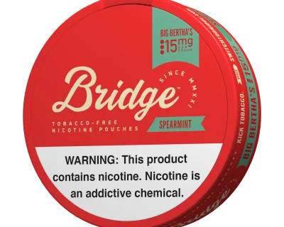 BRIDGE SPEARMINT 15MG