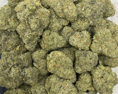 CHAMPAGNE GELATO (EXOTIC DEAL) - Image 3