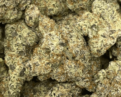 GARLIC TRUFFLEZ (EXOTIC) - Image 2