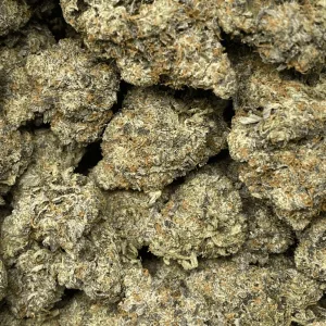 3 IN THE PINK (MEGA GAS DEAL) - Image 2