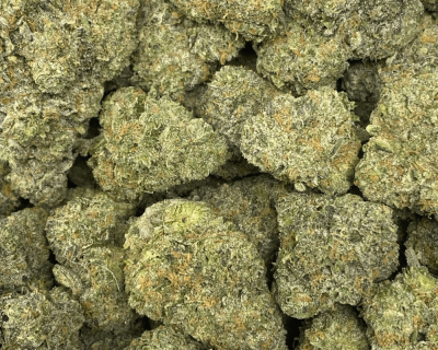 CHAMPAGNE GELATO (EXOTIC DEAL) - Image 2