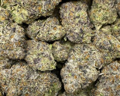 BLUEBERRY BLAST (EXOTIC OZ DEAL) - Image 3