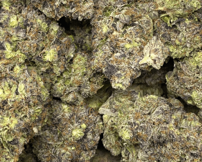 HELLCAT PINK (MEGA GAS) - Image 3