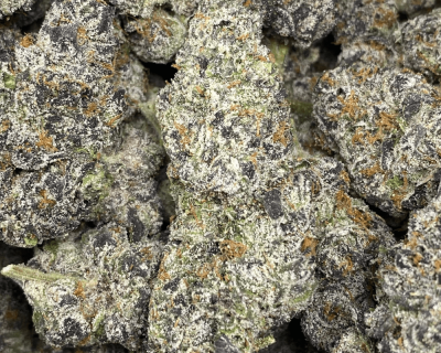 ROCKET FUEL