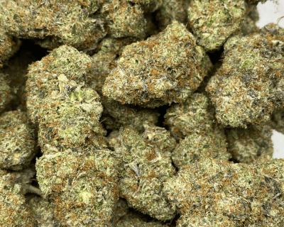 PINK HARLEQUIN (EXTREME GAS) (BULK DEAL) - Image 3