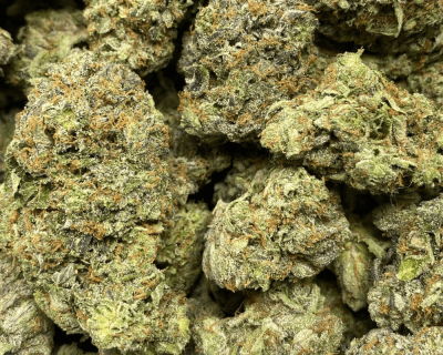 RADIOACTIVE PINK (MEGA GAS DEAL) - Image 2